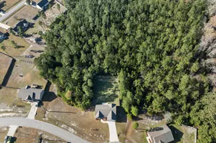 223 Lockwood Ct, Hubert, NC 28539 - Photo 29