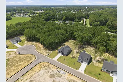 2986 Tucker Hill Drive, Grimesland, NC 27837 - Photo 47