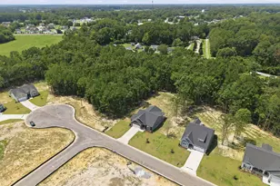 2986 Tucker Hl Dr, Grimesland, NC 27837 - Photo 47