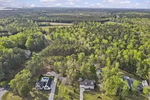 65 Overlook Ct E, Grantsboro, NC 28529 - Photo 41