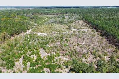 0 Wilbur Pridgen Road, Harrells, NC 28444 - Photo 1