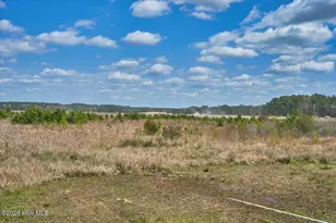 1035 Sea Gull Dr, Vass, NC 28394 - Photo 19