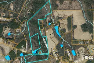 285 Kelly Rd, Carthage, NC 28327 - Photo 1