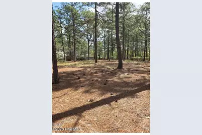 1681 Juniper Lake Road, West End, NC 27376 - Photo 13