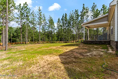 2403 Murdocksville Road, West End, NC 27376 - Photo 43
