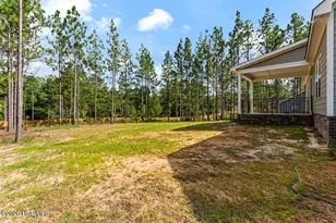 2403 Murdocksville Rd, West End, NC 27376 - Photo 43