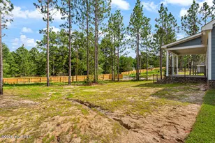 2411 Murdocksville Rd, West End, NC 27376 - Photo 39