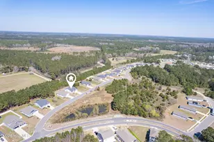 1432 Evergreen Frst Dr SE, Bolivia, NC 28422 - Photo 47
