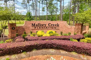 1166 King Eider Wy, Winnabow, NC 28479 - Photo 3
