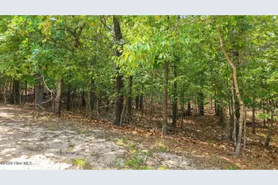 172 James Drive, Seven Lakes, NC 27376 - Photo 17