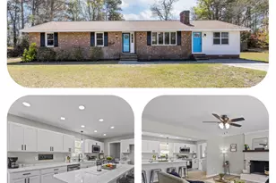 412 Crow's Nest Ln, Sneads Ferry, NC 28460 - Photo 47