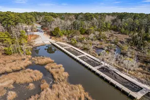 221 E Red Head Cir, Sneads Ferry, NC 28460 - Photo 63