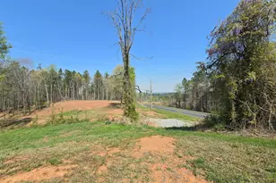 3123 Everett Chappell Rd, Ellerbe, NC 28338 - Photo 1