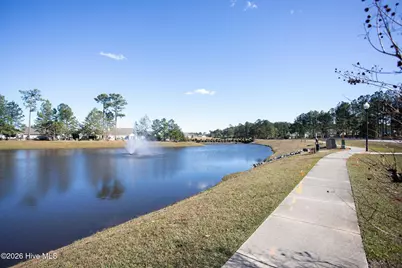 8326 Slippery Elm Court, Leland, NC 28479 - Photo 51