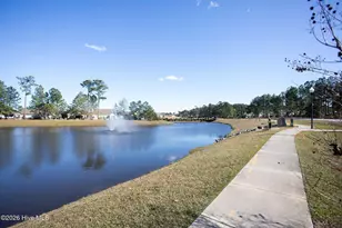 8326 Slippery Elm Ct, Leland, NC 28479 - Photo 51