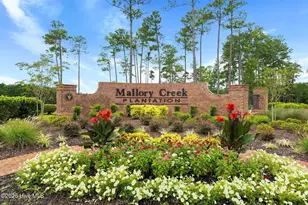 8326 Slippery Elm Ct, Leland, NC 28479 - Photo 41