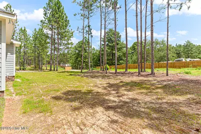 2433 Murdocksville Road, West End, NC 27376 - Photo 39