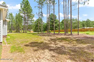 2433 Murdocksville Rd, West End, NC 27376 - Photo 39