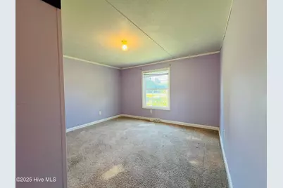 629 Old Snow Hill Road, Ayden, NC 28513 - Photo 27