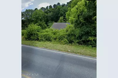 17801 Saint Johns Church Road, Laurel Hill, NC 28351 - Photo 3