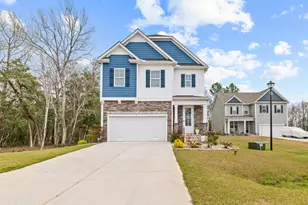 167 Evergreen Forest Ct, Sneads Ferry, NC 28460 - Photo 3