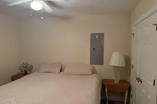 736 Lynch and Hedgepeth Rd, Hollister, NC 27844 - Photo 13