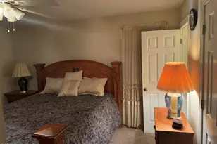 736 Lynch and Hedgepeth Rd, Hollister, NC 27844 - Photo 19