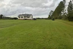 736 Lynch and Hedgepeth Rd, Hollister, NC 27844 - Photo 3