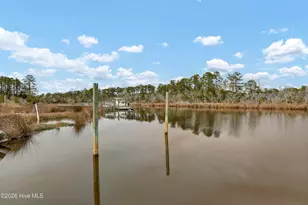 310 Milton Ct, Sneads Ferry, NC 28460 - Photo 49