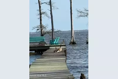 380 Beech Bay Road, Roper, NC 27970 - Photo 81