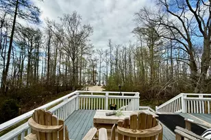 380 Beech Bay Rd, Roper, NC 27970 - Photo 53
