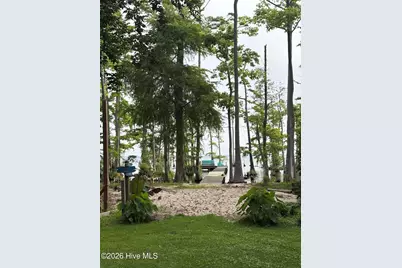 380 Beech Bay Road, Roper, NC 27970 - Photo 5