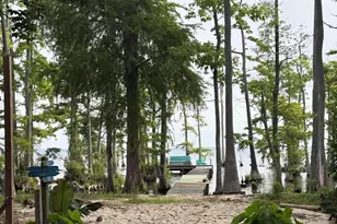 380 Beech Bay Rd, Roper, NC 27970 - Photo 5