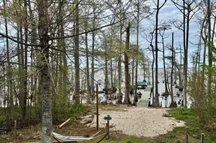 380 Beech Bay Rd, Roper, NC 27970 - Photo 61