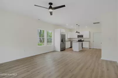 163 Wheeler Creek Road, Sneads Ferry, NC 28460 - Photo 3
