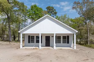 163 Wheeler Creek Rd, Sneads Ferry, NC 28460 - Photo 27