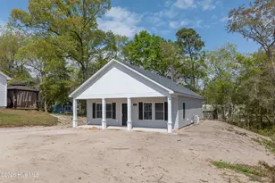 163 Wheeler Creek Rd, Sneads Ferry, NC 28460 - Photo 1