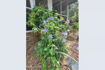 370 E Morganton Road, Southern Pines, NC 28387 - Photo 103