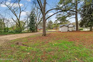 220 E Branch St, Spring Hope, NC 27882 - Photo 59