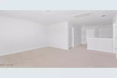 5318 Areca Road #Lot 346, Castle Hayne, NC 28429 - Photo 13