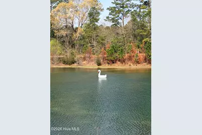 536 Magnolia School Road, Washington, NC 27889 - Photo 11