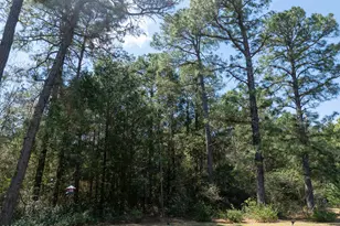 400 Rose Crest Ct, Wilmington, NC 28412 - Photo 53