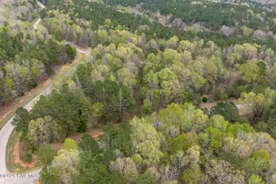 109 Azalea Trail, Rockingham, NC 28379 - Photo 3