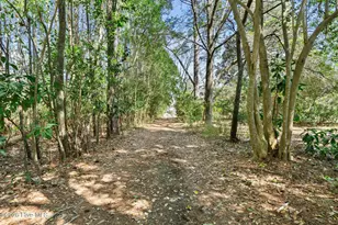 2715 Castle Hayne Rd, Wilmington, NC 28401 - Photo 33