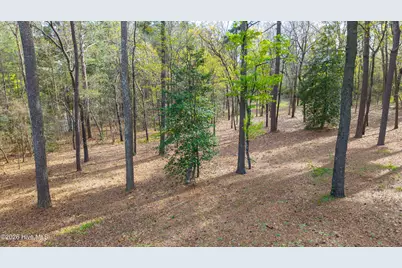 160 T Johnson Road, Carthage, NC 28327 - Photo 5