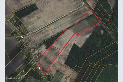 26 Ac Nc 99, Pantego, NC 27860 - Photo 5