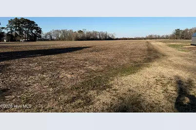 26 Ac Nc 99, Pantego, NC 27860 - Photo 3