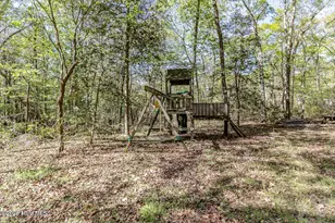 345 Rock Rd, Goldsboro, NC 27534 - Photo 25