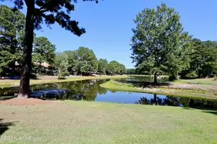 116 Shagbark Ct, West End, NC 27376 - Photo 87