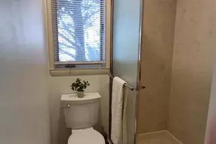 116 Shagbark Ct, West End, NC 27376 - Photo 59